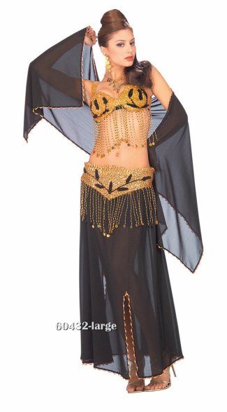 Deluxe Black Harem Dancer Costume