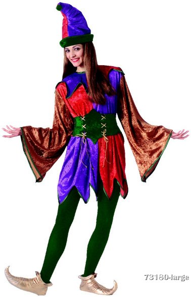 Adult Renaissance Jester or Clown Costume