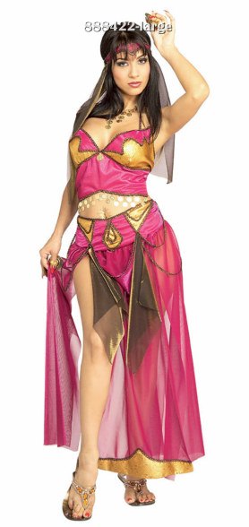 Sexy Adult Salome Belly Dancer Costume