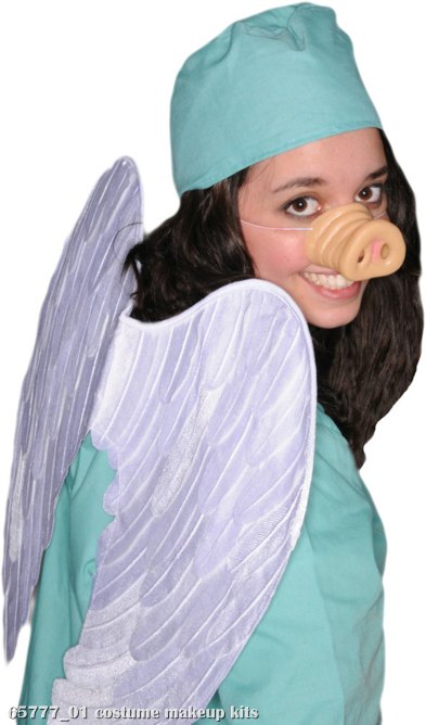 Swine Flu Costume Kit