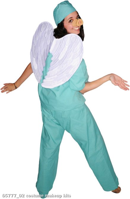 Swine Flu Costume Kit