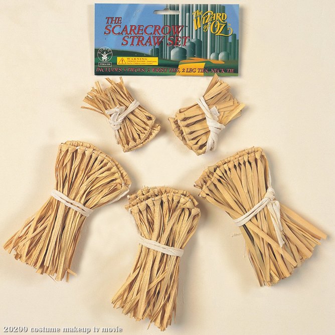 Wizard Of Oz Straw Kit