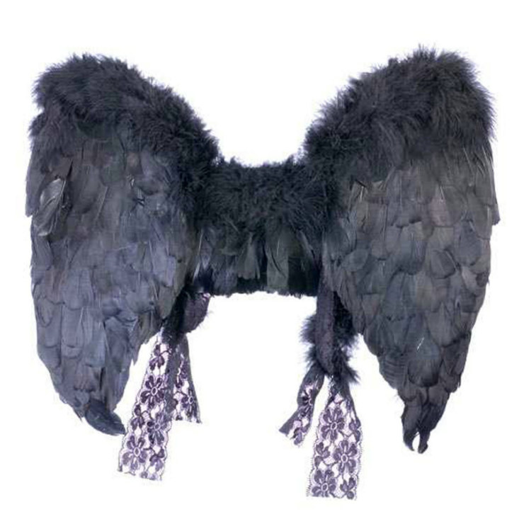 Adult (Black) Feather Angel Wings