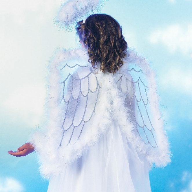 Pretty Angel Wings Child