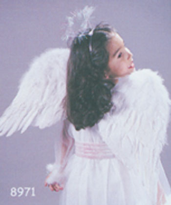 Angel Wings