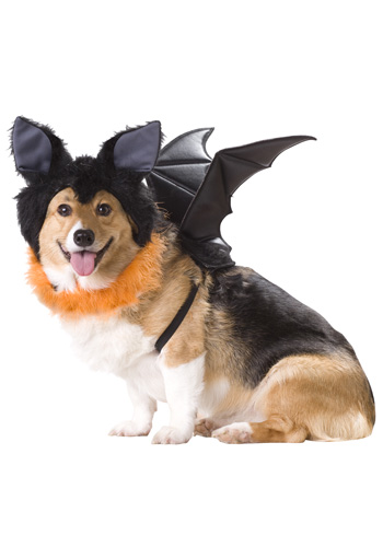 Pet Bat Costume