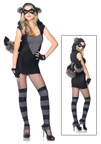 Sexy Raccoon Costume