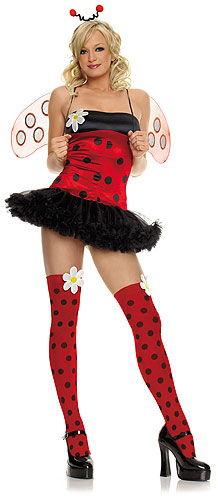 Sexy Ladybug Costume