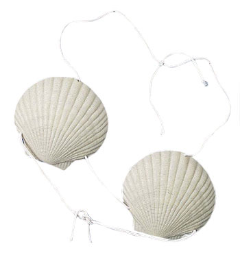 Shell Bra