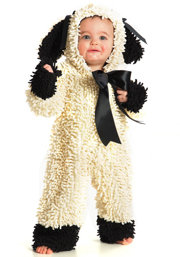 Toddler Wooly Lamb