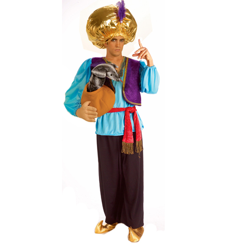 Snake Charmer Adult Costume