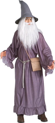 Gandalf Adult Costume