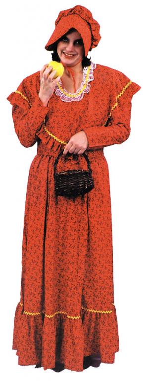 Pioneer Adult Dress