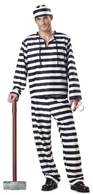 Jailbird Adult Costume