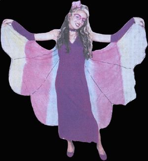 Butterfly Adult Costume