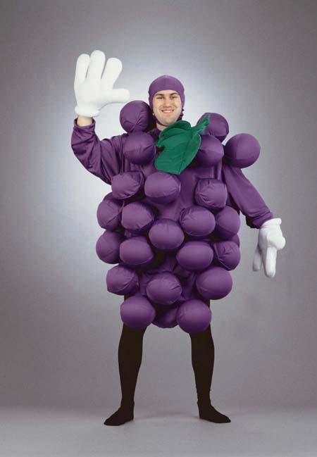 Purple Grapes Adult Costume