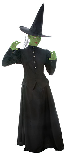 Deluxe Wicked Witch Costume