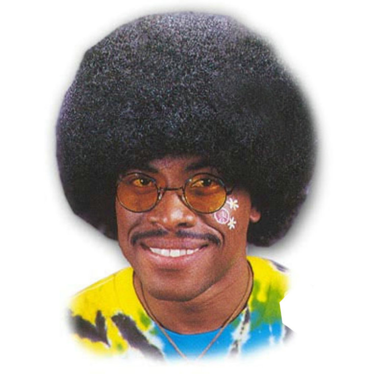 Black High Afro Wig