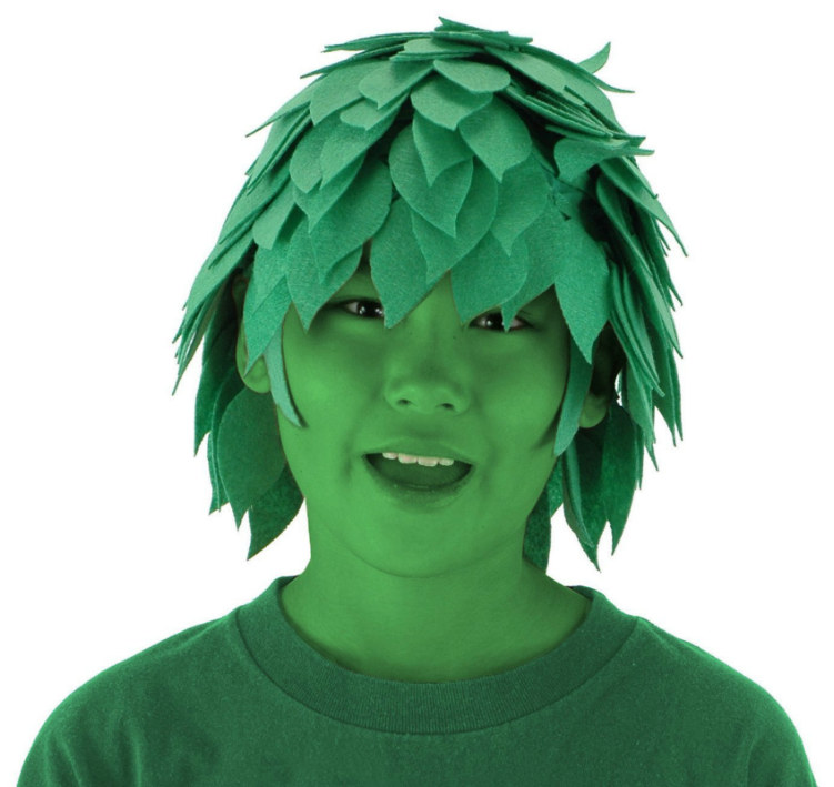 Green Guy Wig