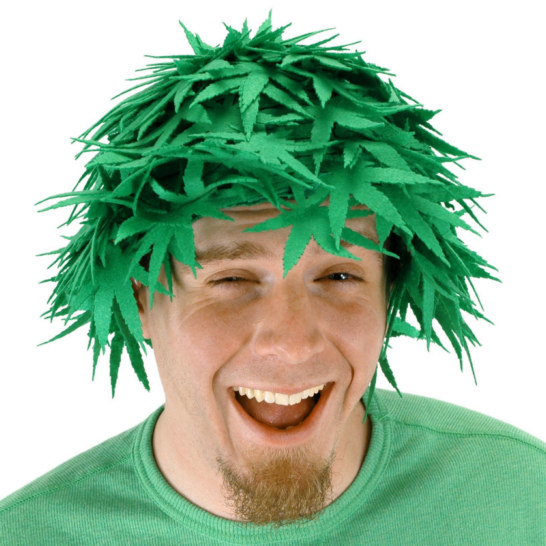 Pot Head Adult Wig