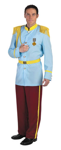 Adult Prince Charming Costume