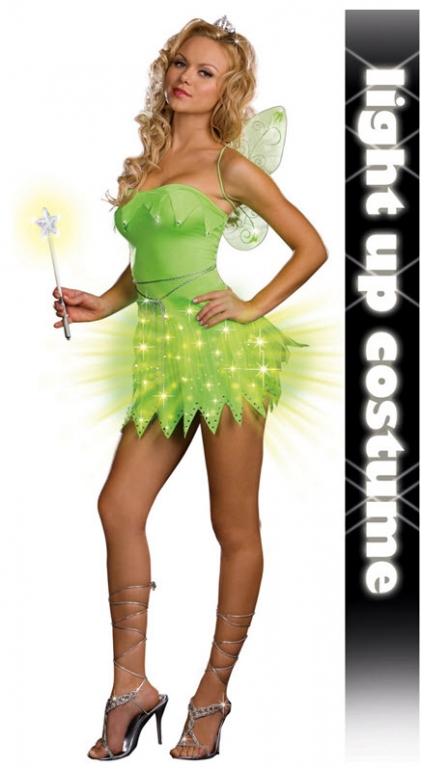 Fairy Costume