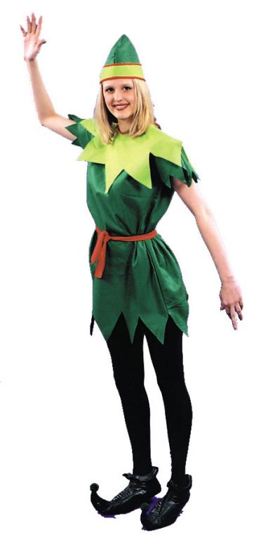 Peter Pan Adult Costume