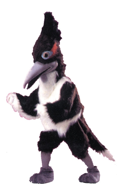 Roadrunner Adult Costume