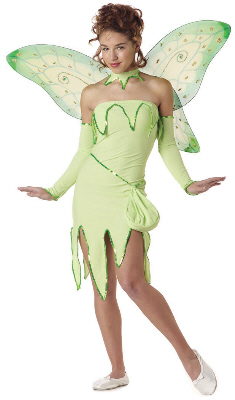 Emerald Fairy Teen Costume