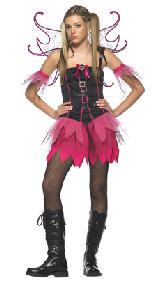 Fairy Costume