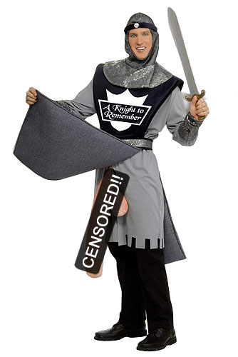 A Knight to Remember Costume