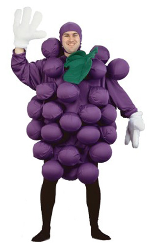 Adult Purple Grapes Costume