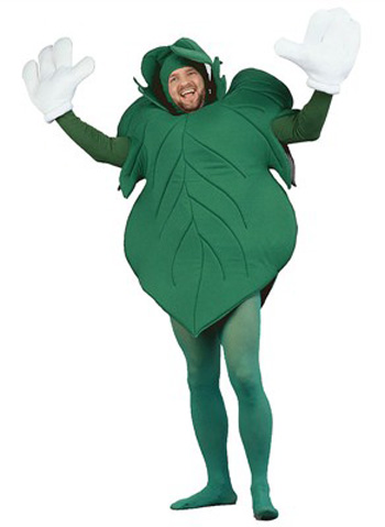 Adult Fig Leaf Costume