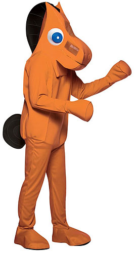 Adult Pokey Costume