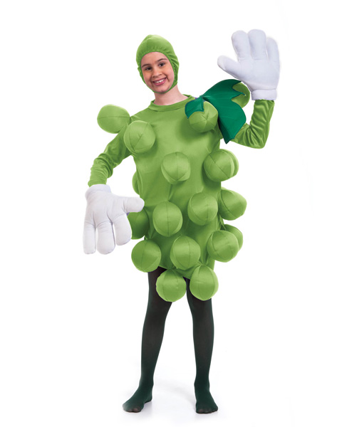 Unisex Green Grapes Childs Costume