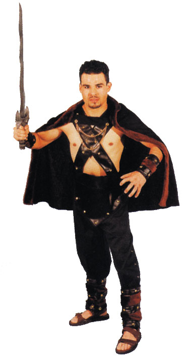 Viking Warrior Adult Costume