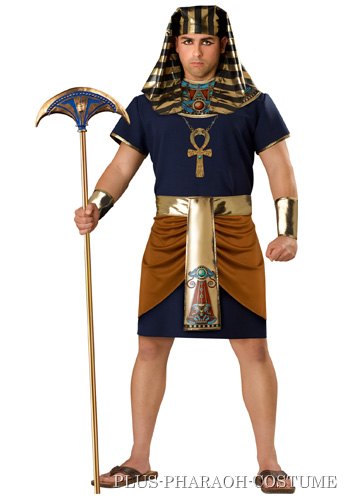 Plus Size Egyptian Pharaoh Costume