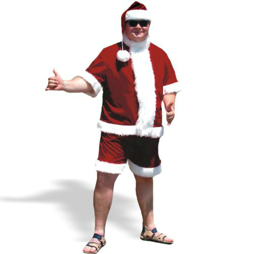 Sunny Claus Adult Costume