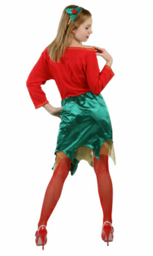 Happy Holly Days Dress Adult - Winter Holiday Classics Costume