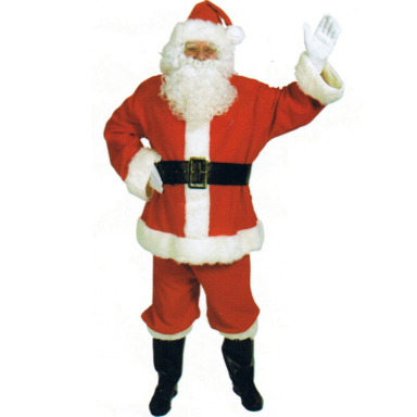 Complete Santa Suit Adult Costume