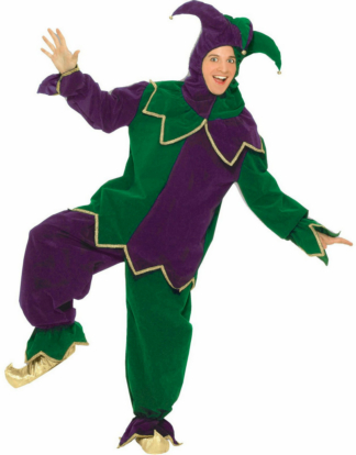 Mardi Gras Jester Adult Costume