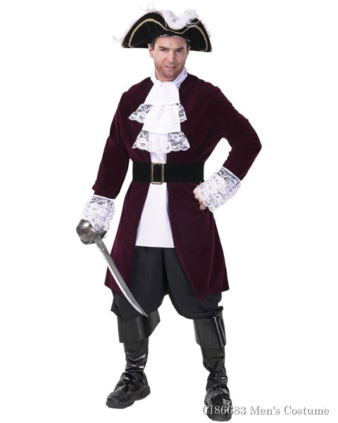 Mens Plus Size Pirate Captain Costume