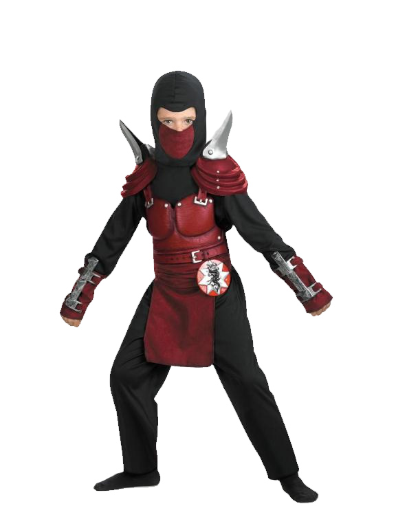 Blade Ninja Costume