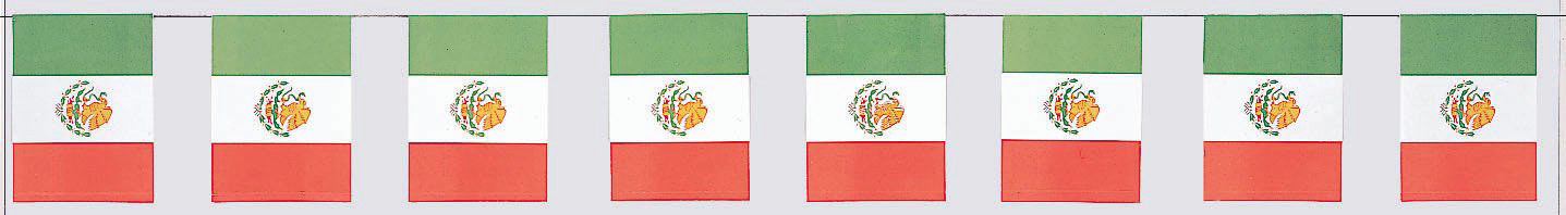 8' Mexican Flag Paper Banner