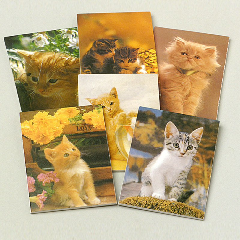 Cat Memo Pads Asst. (12 count)