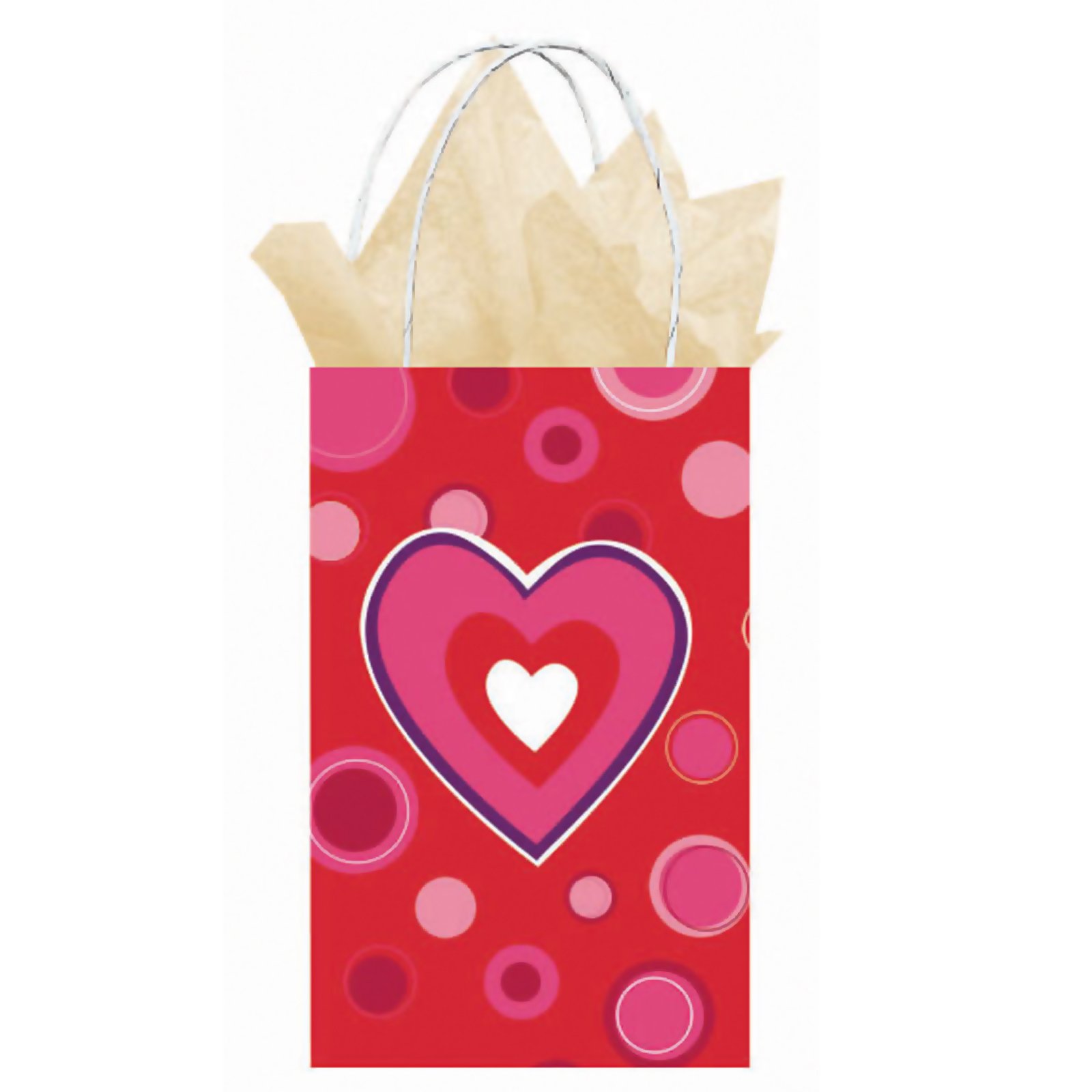 Valentine's Day Gift Bag