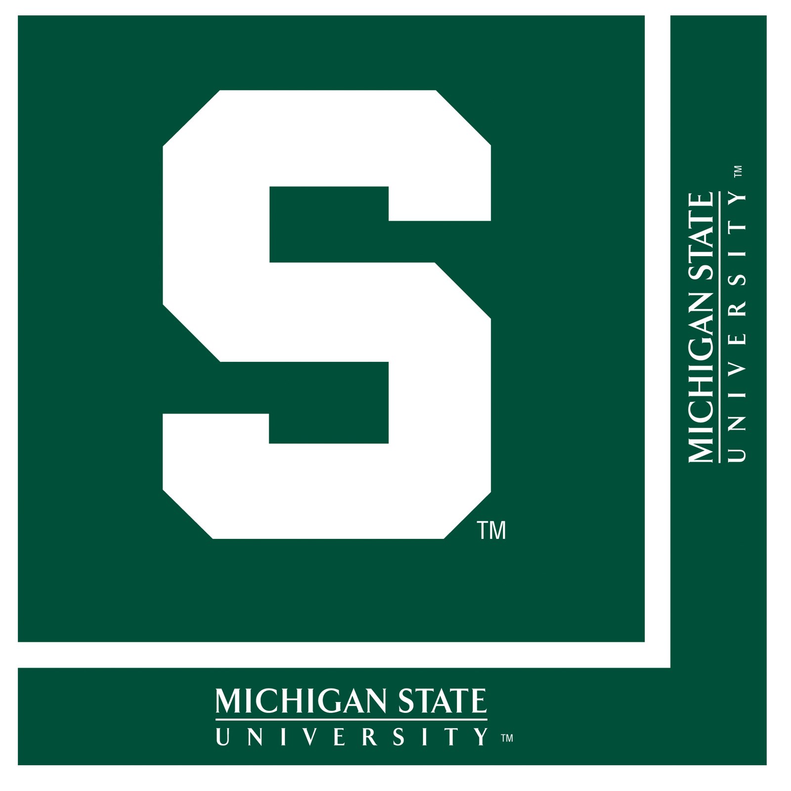 Michigan State Spartans - Lunch Napkins (20 count)