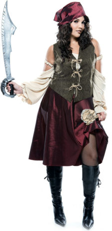 High Seas Pirate Adult Plus Costume