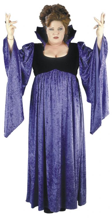 Evil Queen Plus Size Adult Costume