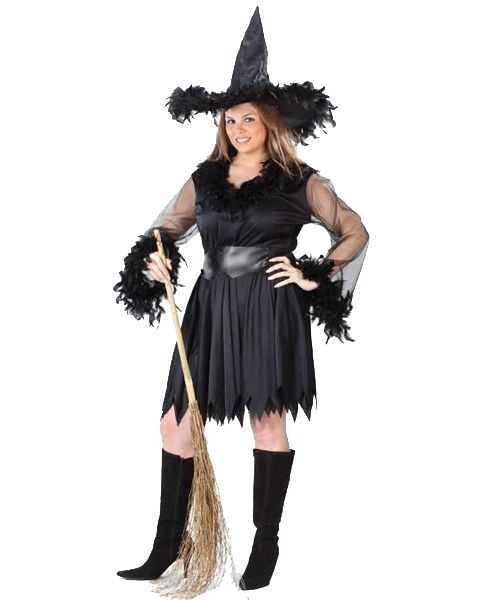 Womens Plus Sexy Feather Witch Costume